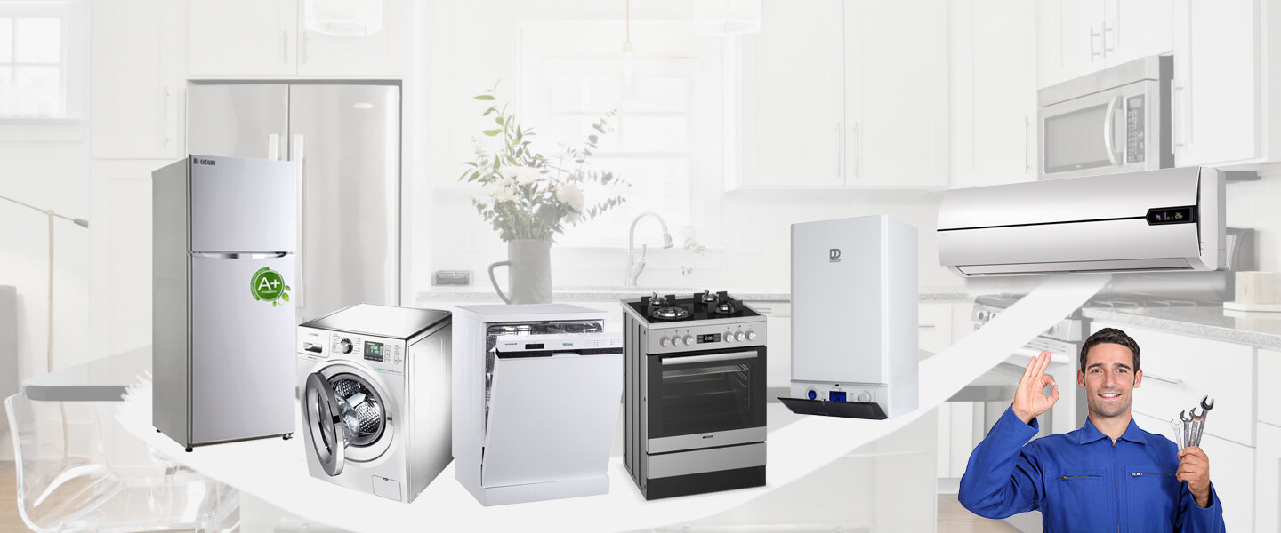 Vize Electrolux Servisi